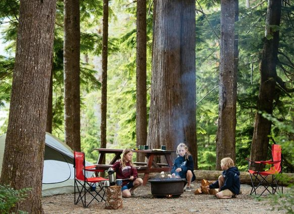 TrueKeyResorts's tweet photo. #DidYouKnow Moutcha Bay Resort has 28 spacious treed campsites for your tent or RV, all serviced with water and power and access to well-maintained washhouses with flush toilets and hot showers? To learn more, visit https://t.co/eEWKPH7goK

📷 Nootka Marine Adventures https://t.co/0s7zQa7fMz