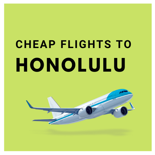 AirfareCheapest's tweet photo. Book a flight today!
Cheap Flights Phone Number +1 (800) 610-2592

#cheapflights #cheaptickets #confinement3 #INDvsENG_2021 https://t.co/lyCNourhGw