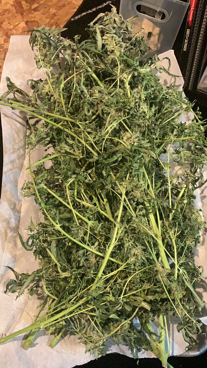 Trimming sucks!!!