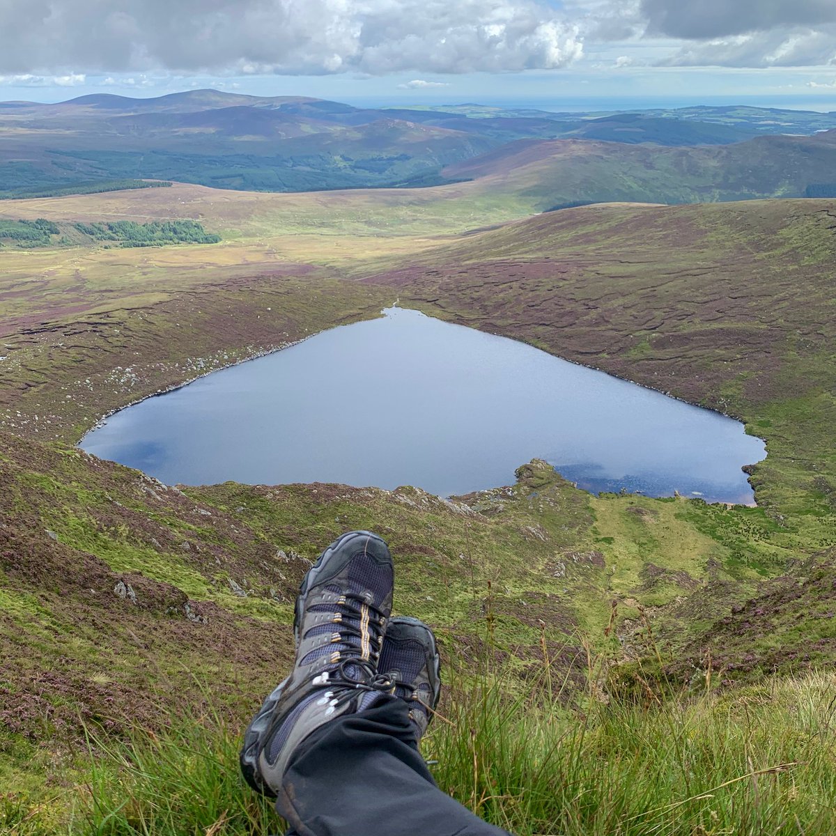 @poloconghaile tweet media