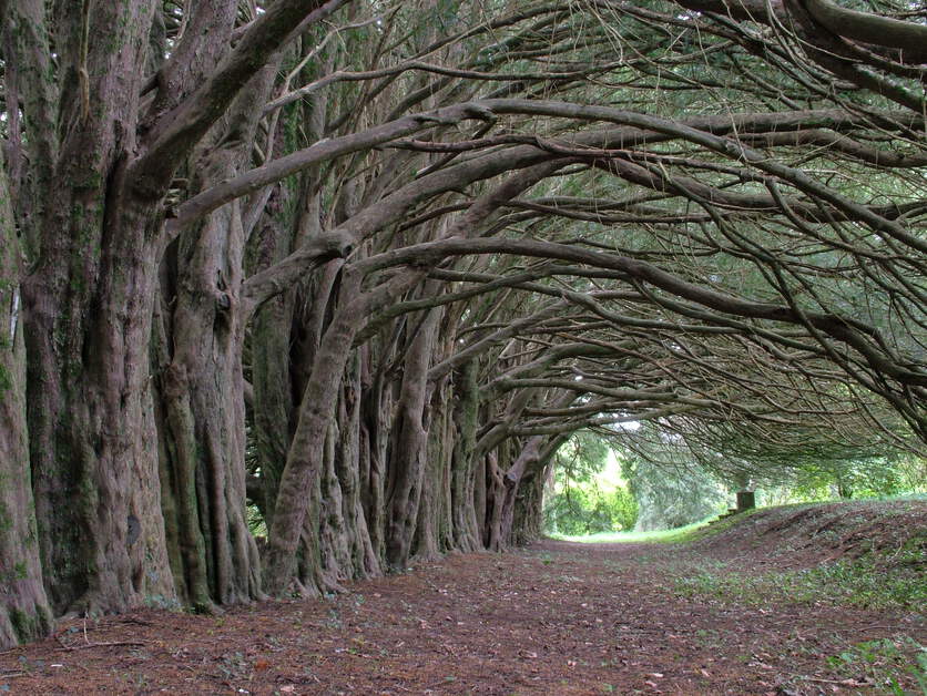 @poloconghaile tweet media