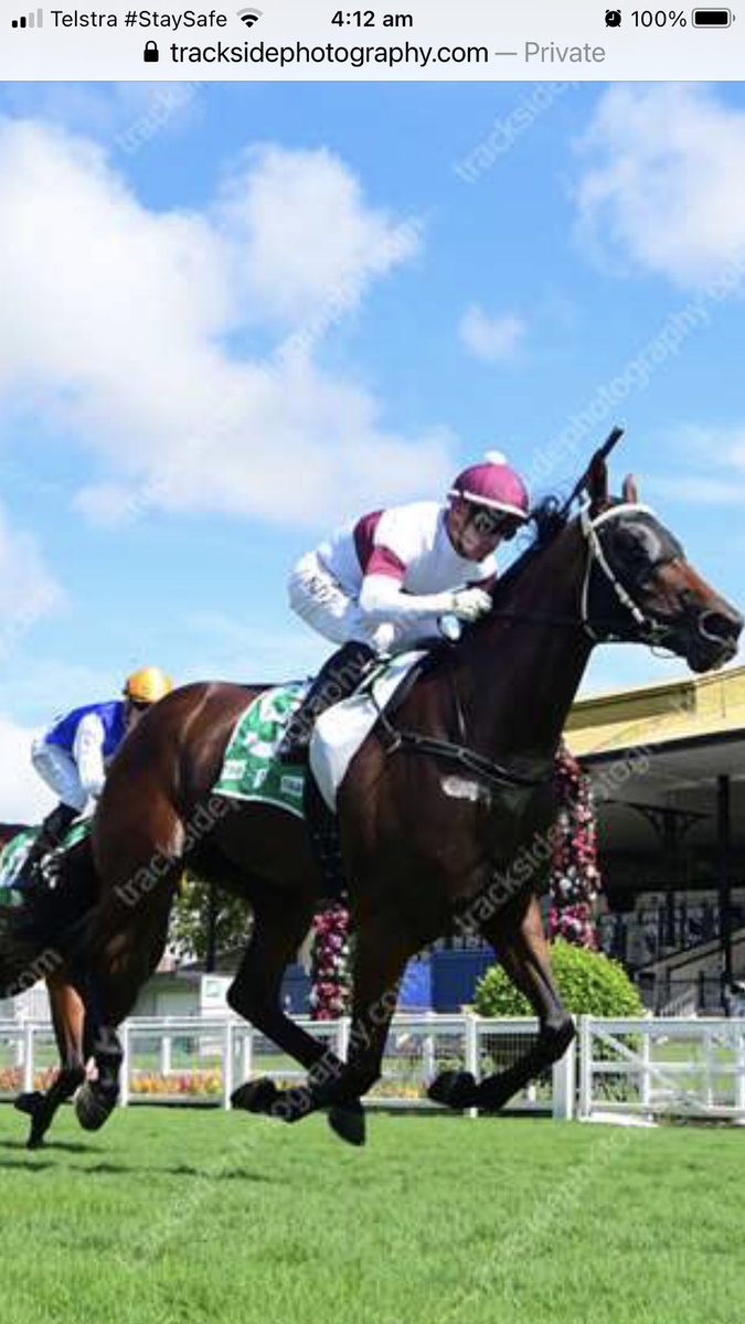 Meagher1Chris's tweet photo. Nice win yesterday at Eagle farm by promising staying mare  evita la vie congratulations to all owners and thanks to our Brisbane staff for all their hard work https://t.co/ws4KufIJ43
