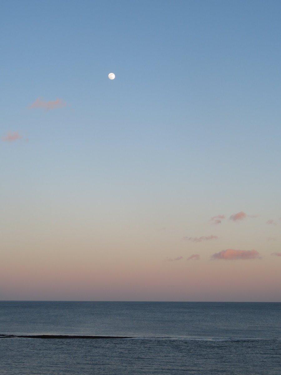 SeaWindowCraster tweet media