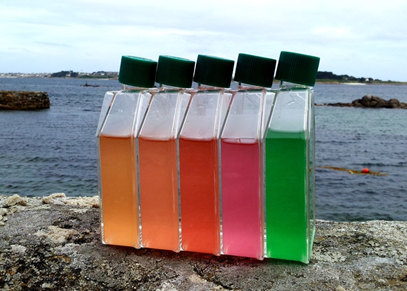 T Grébert 🌊🦠🔬🧬 tweet media