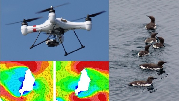 @ERI_UHI are hiring a #postdoc in #marinerenewables and the #environment! Join the multi-disciplinary team using #hydroacoustics #drones #echosounder #multibeam #adcp to study interactions: eri.ac.uk/category/job-v…
@UHI_Research @INOREan @tethys_enviro