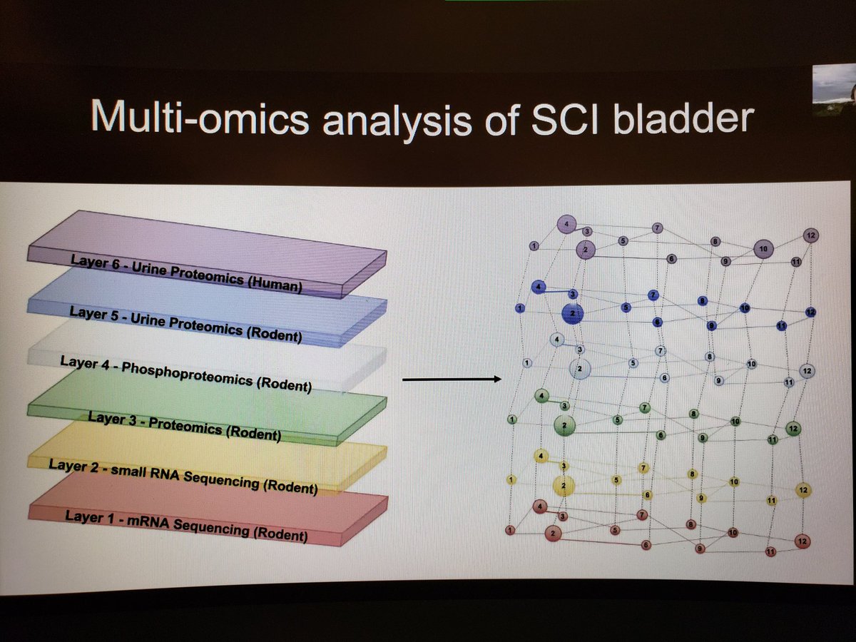 Science at its best. Integration of multiomics data to understand the detailed molecular events in bladder remodeling. <a href="/adam_rosalyn/">Ros Adam</a> is a superstar! #SUFU21 #ScienceMatters