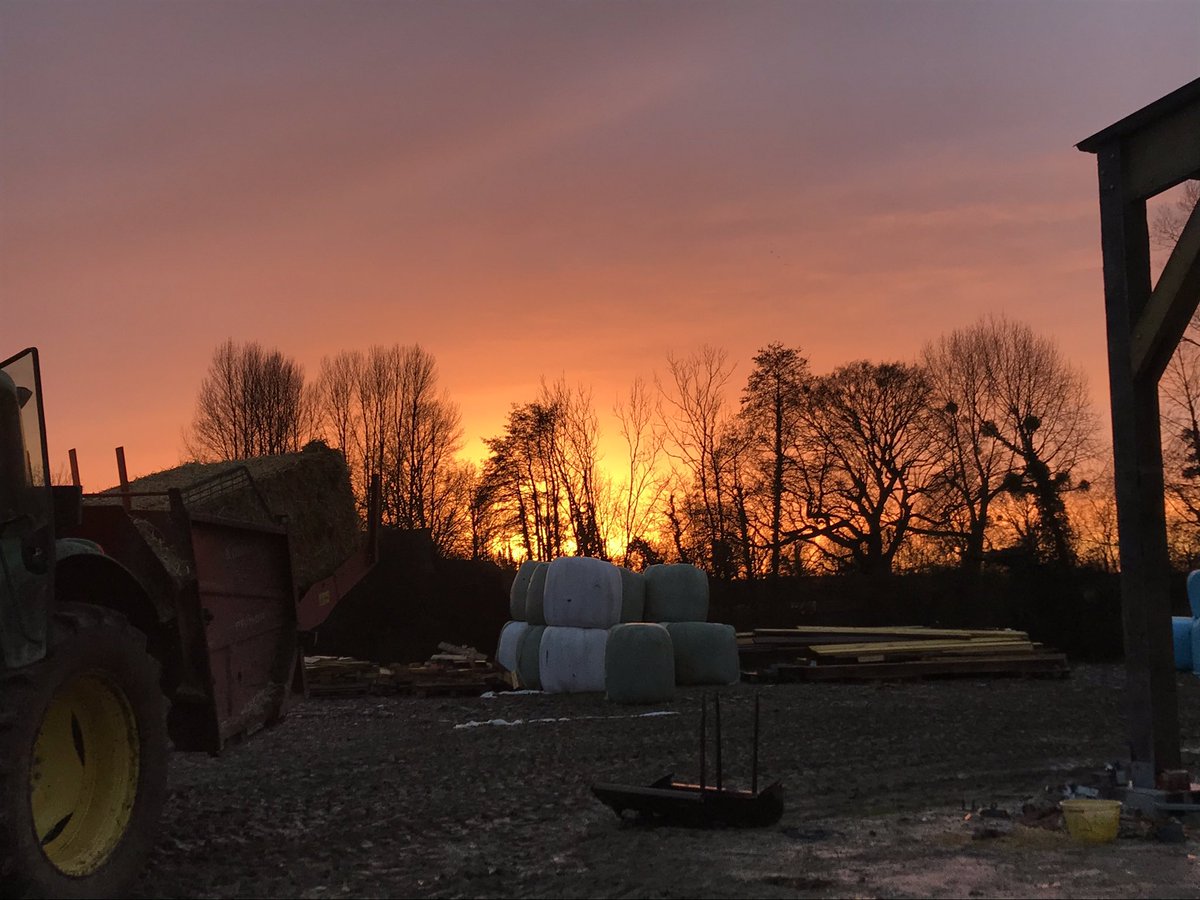 ThibautGiraud1's tweet photo. Avec un ciel si rouge est magnifique 😍 il devrait faire beau demain ☀️
#les4saisons
#agriculteurs https://t.co/gdHCACTQm9