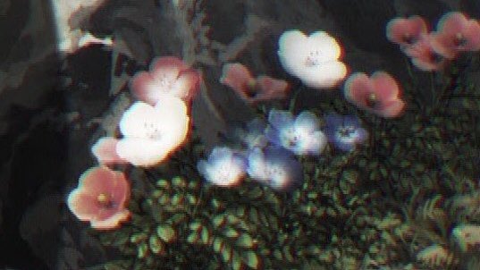 ゆま エルキドゥ考察 フワワの花 ネモフィラ 花冠の素材としてアイビー 赤い花 白い花 ポピー 花言葉 一部のみ ネモフィラ 可憐 あなたを許す 赤ポピー 慰め 感謝 白ポピー 眠り 忘却 毒 開花の時期が重なる 後述 ため アニメ