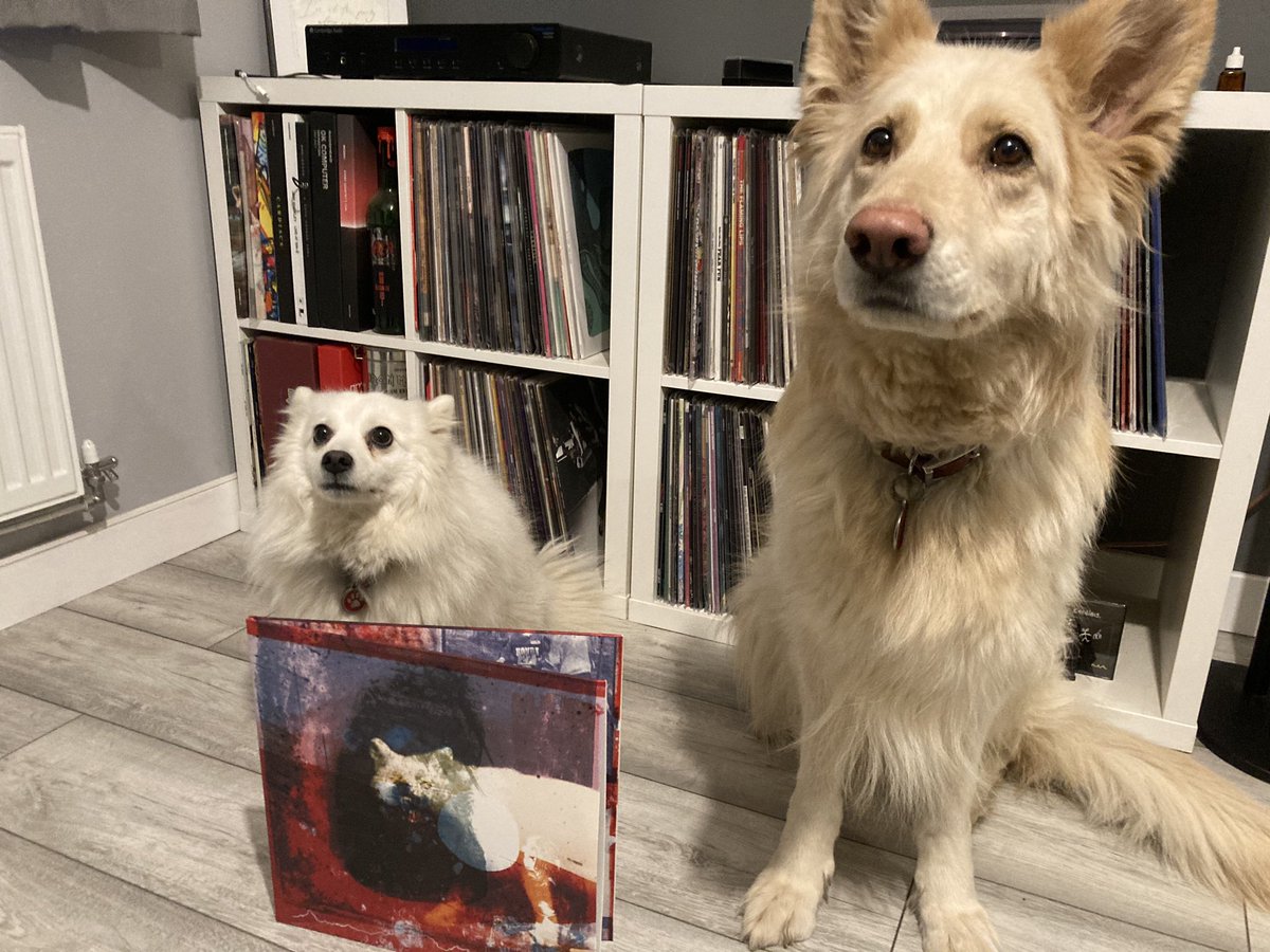 #Mogwai4Number1 buy the new @mogwaiband album!! 2 out of these 2 dogs can’t be wrong