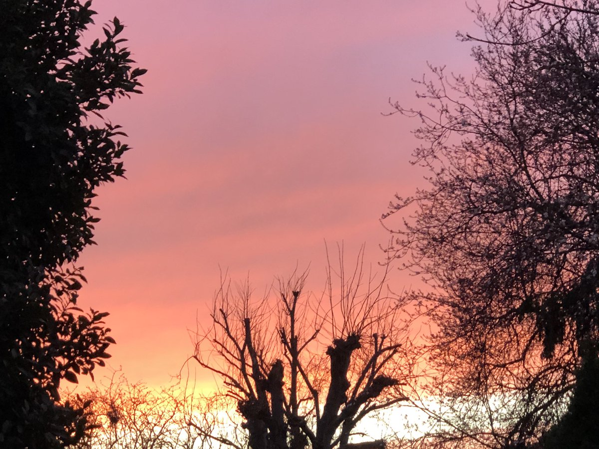 BenThompsonTV's tweet image. I know there will be a thousand pictures of the same thing here tonight but hearing the birds in the trees and views like this again are so exciting. #itsgettingbetter