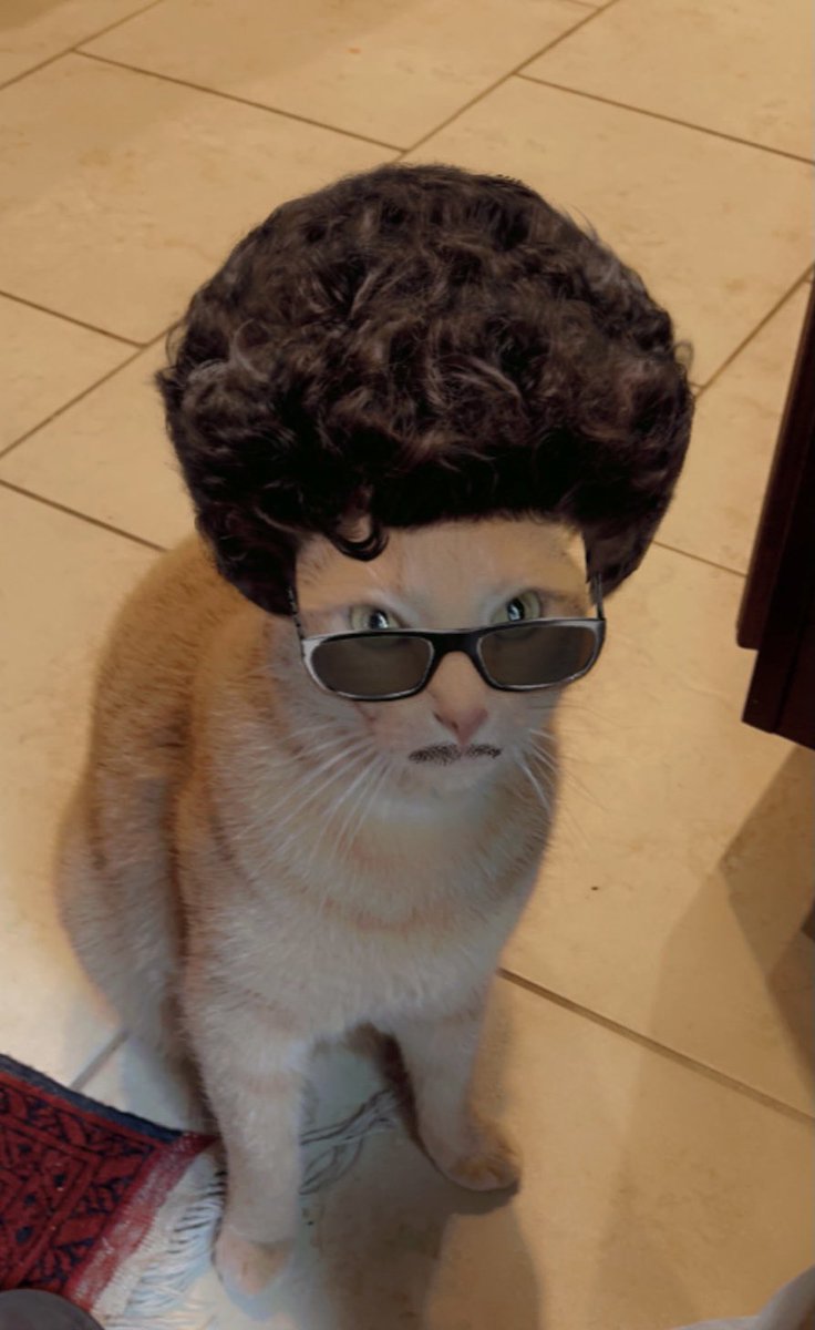 sipote18's tweet photo. #excuseme #bigotito https://t.co/zW2cUGraeR