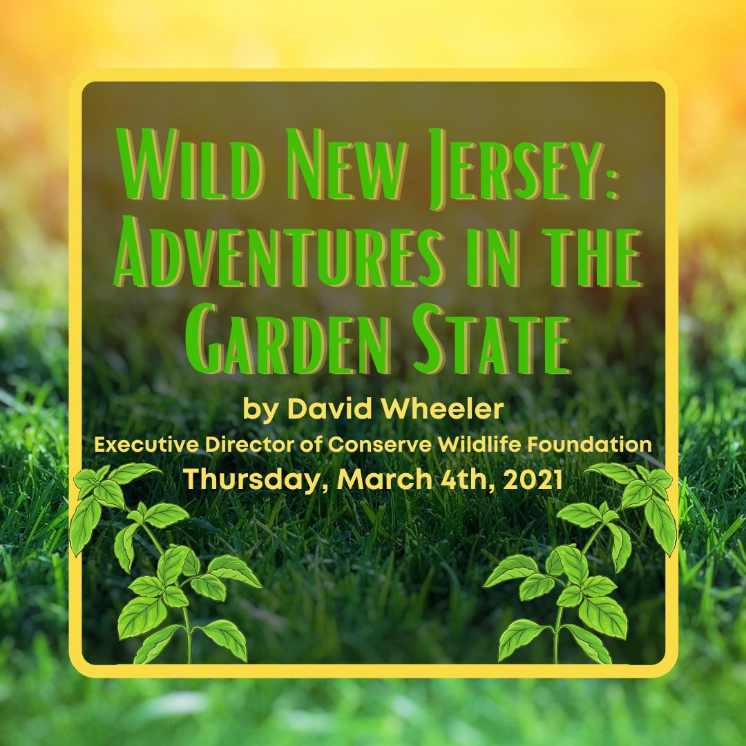 flatrockbrook's tweet image. David Wheeler, Executive Director of the Conserve Wildlife Foundation, presents a lecture on Nature Adventures in the Garden State! Don't miss the second installment in the Wildlife and Wilderness Lecture Series! Register here: ow.ly/uc4O50DJYzR