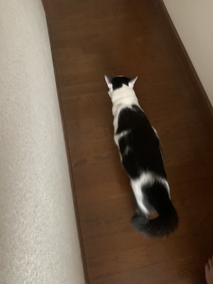 ta_s166's tweet photo. おはようございます
昨日は色々と忙しすぎて携帯見てる暇すら無かった、、

死んだように眠って起きて今日も一日仕事。
打ち合わせやら何やら多すぎて困っちゃうな。
あとお金稼ぎたいって人はしっかりツイートを読んでからDMしてくださいね

話わからない人は何もできないと思ってるので。 https://t.co/P5ijU2bDba