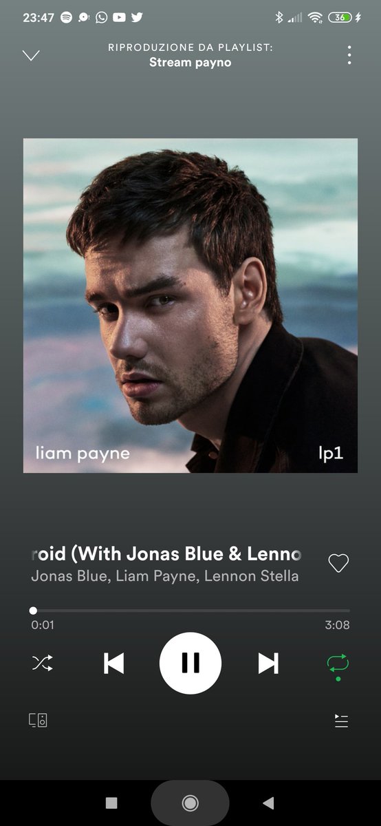 maevrtes's tweet photo. Day 9❤️ Both ways, weekend, rude hours, tell your friends, say it all, hips don't lie, Heart meet break, Polaroid, Remember.
#stream_payno #proudofliam #weloveliampayne #stream_LP1 #LP1 #we_love_payno #liam_payne #justiceforliam #LiamPayne #liamyouarestrong #lp1streamingparty https://t.co/mToL1aljk6