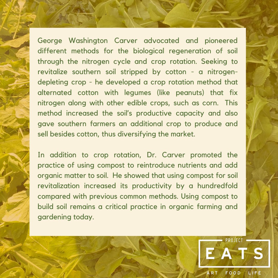 ProjectEATS's tweet photo. At Tuskegee Institute, the legendary George Washington Carver promoted innovative agricultural techniques and environmentalism. And, he eventually would became synonymous with  the peanut industry and one of the most famous agrarians in US history. 

#blackhistorymonth https://t.co/18pE4HpK66