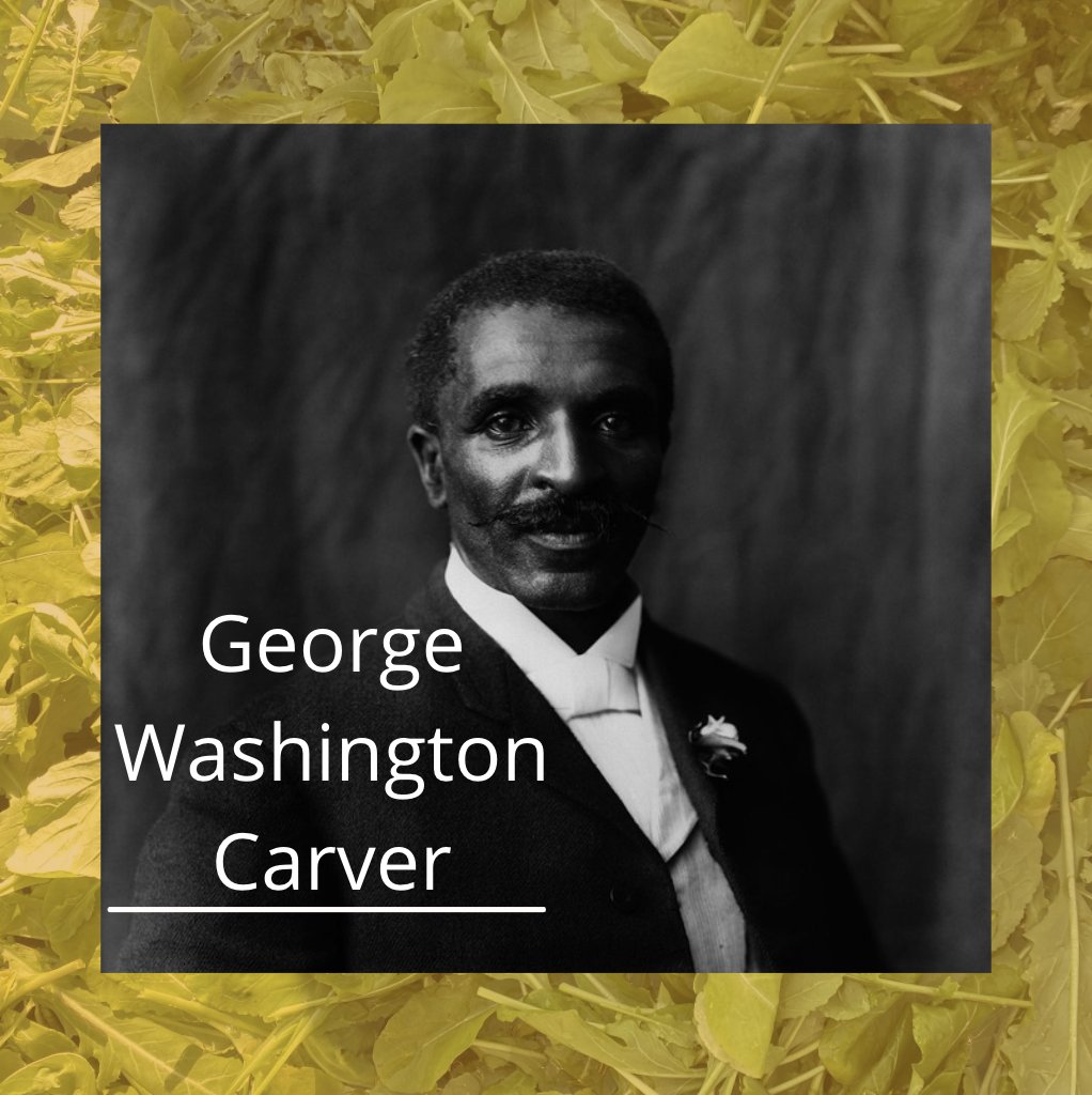 ProjectEATS's tweet photo. At Tuskegee Institute, the legendary George Washington Carver promoted innovative agricultural techniques and environmentalism. And, he eventually would became synonymous with  the peanut industry and one of the most famous agrarians in US history. 

#blackhistorymonth https://t.co/18pE4HpK66