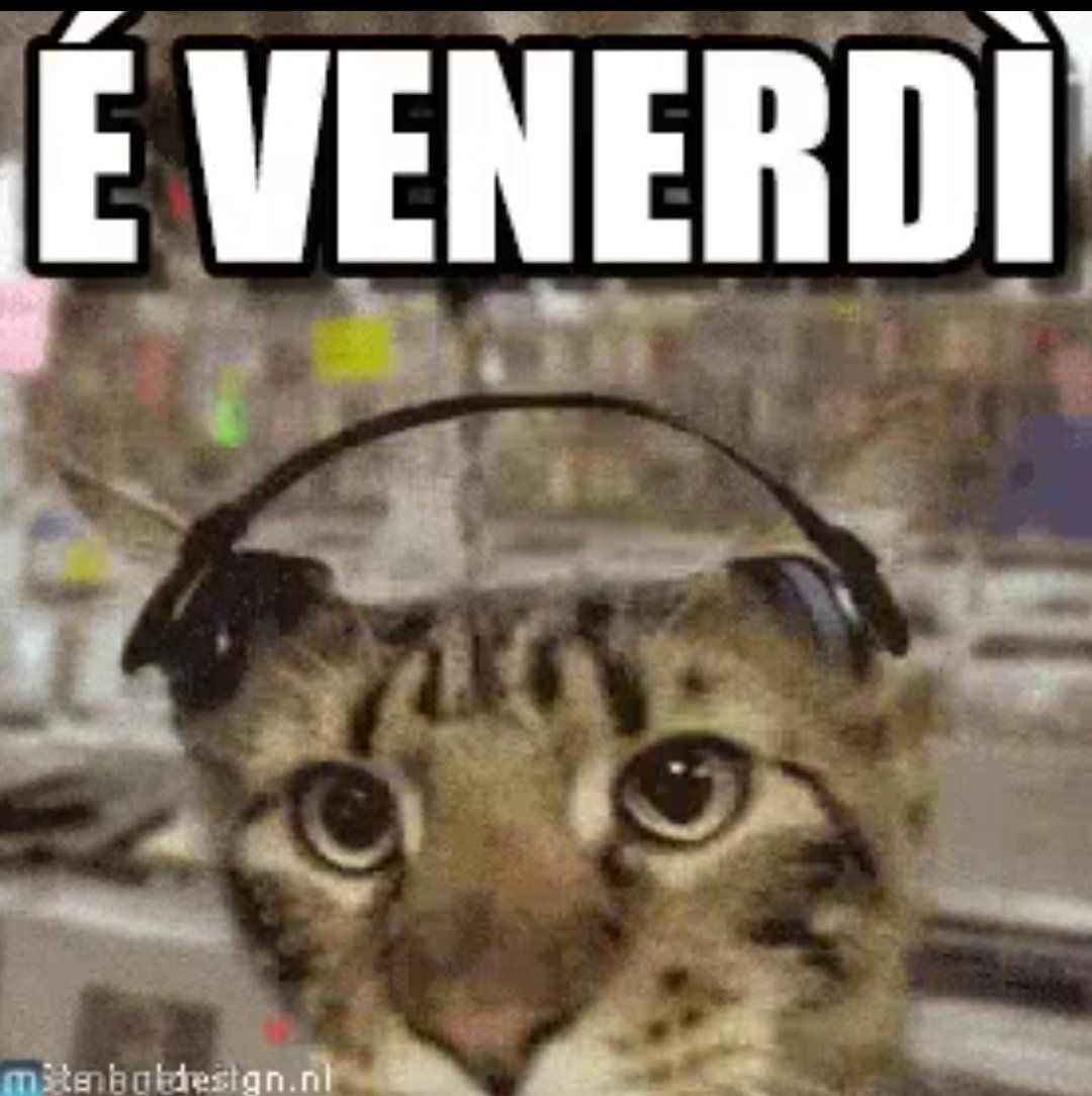 LSognnn's tweet photo. È venerdì @PiGi_MDMA @garozki https://t.co/gNbvIiQatM