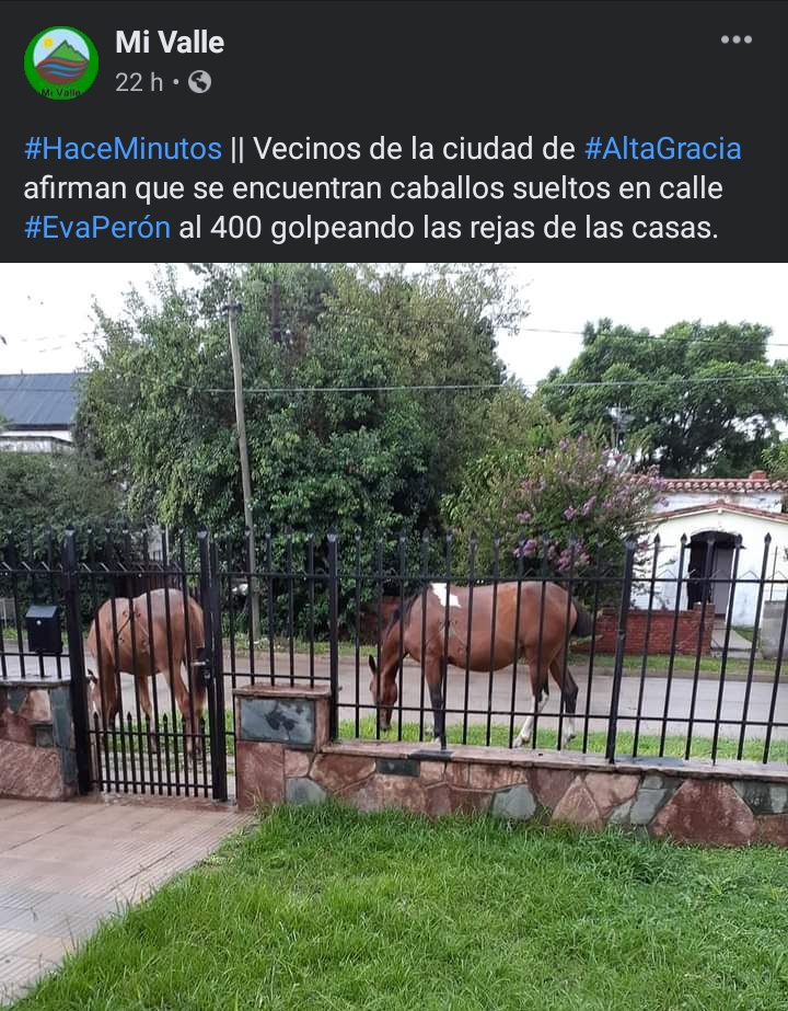 Golpeando las rejas de las casas