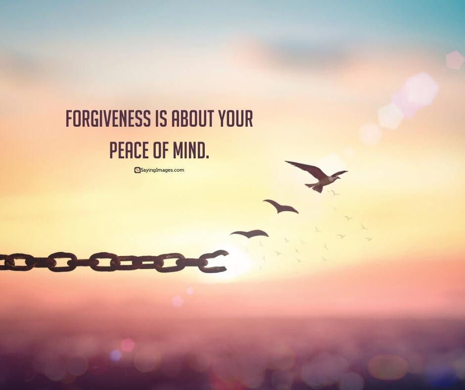 forgivenesspath's tweet photo. #forgive #forgiveness #healing #peaceofmind #letgo #thepathofforgiveness #meditation #freemeditation https://t.co/gtvbIkKRsP