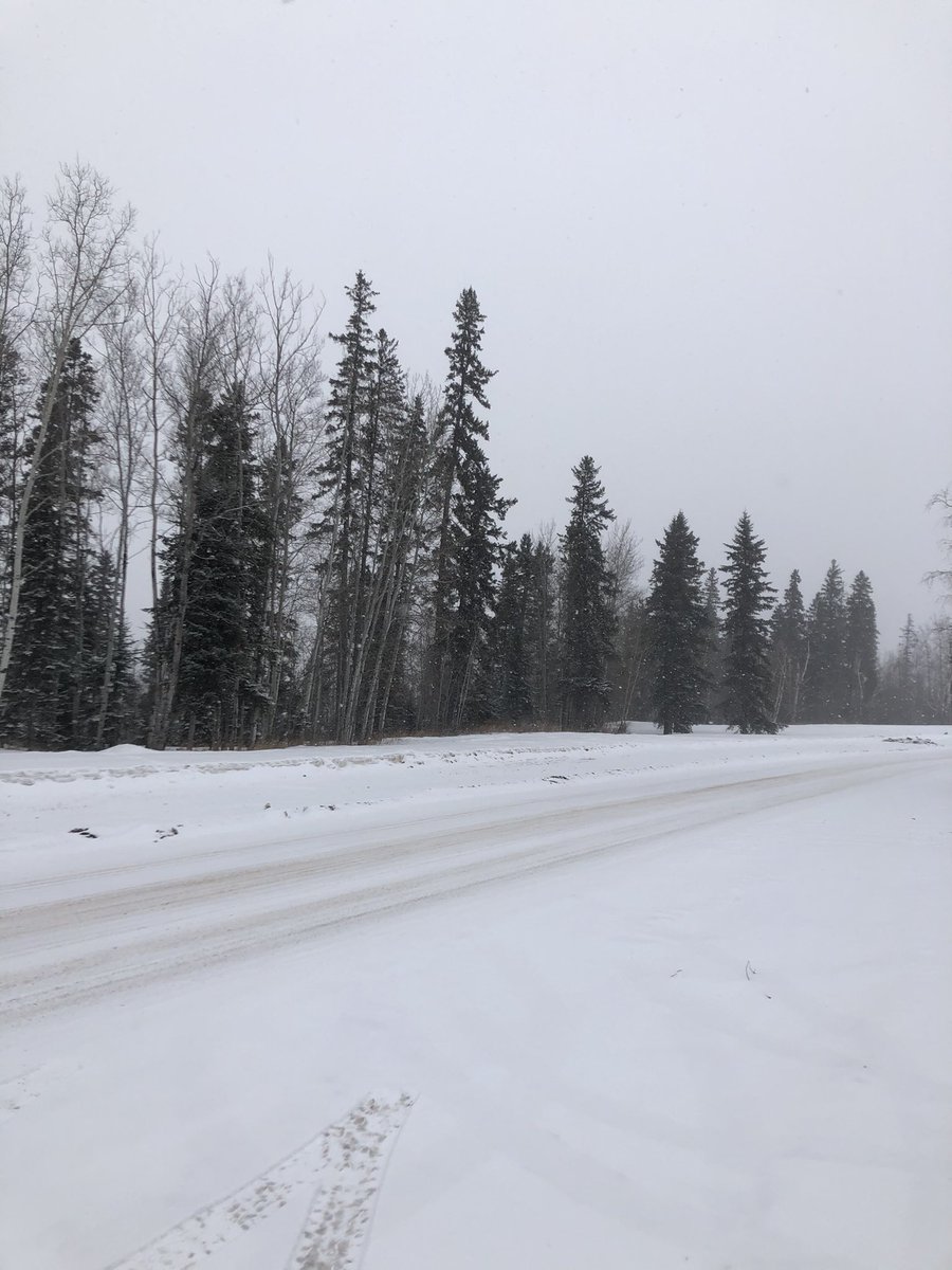 KaseyMac's tweet photo. @getca1 Wellness walk on the Birchwood trails is a bit blustery today. #ymmgetca #getca2021 https://t.co/cKi9gCWCJa