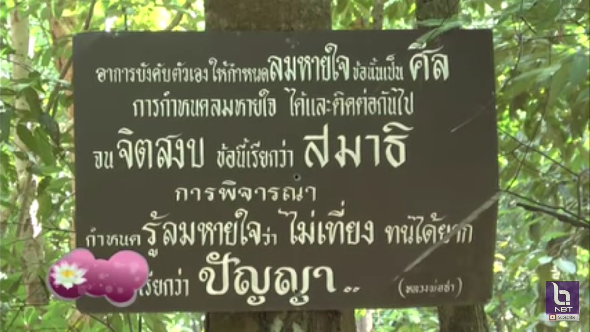 🇹🇭Mechanicsonsea🇹🇭 tweet media