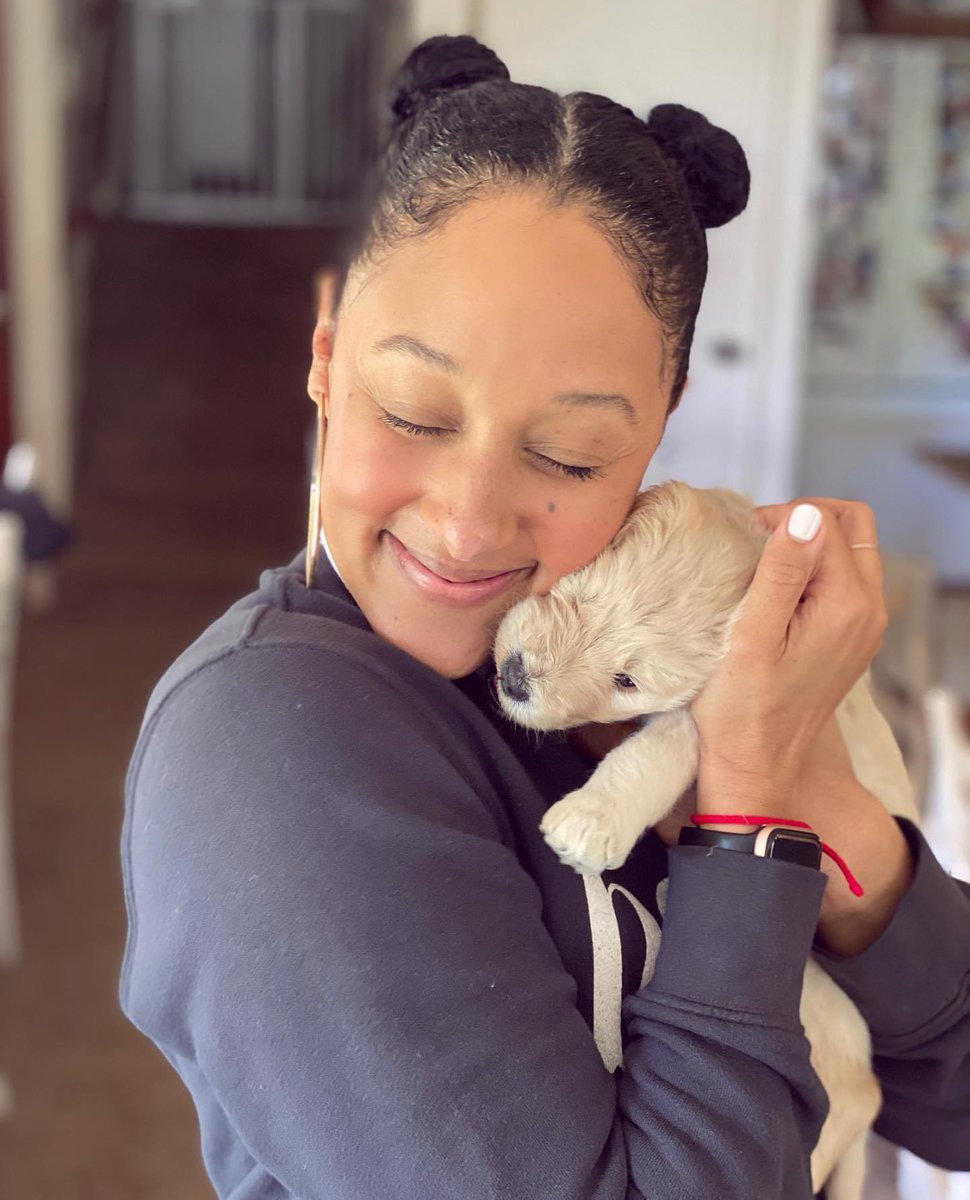 ltsTameraMowry's tweet image. Well...We did a thing💕 Meet Chloe. #puppylove #newestaddition #goldendoodle