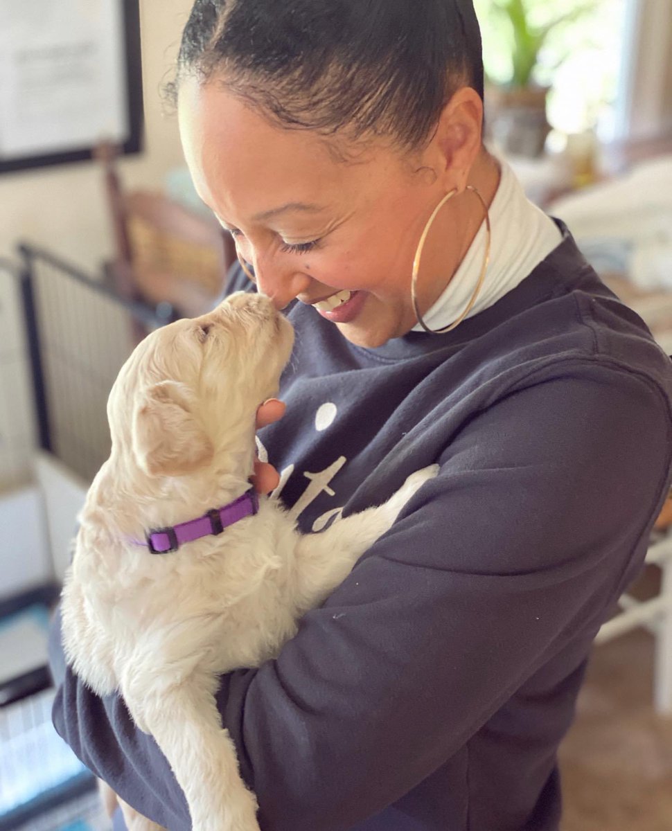 ltsTameraMowry's tweet image. Well...We did a thing💕 Meet Chloe. #puppylove #newestaddition #goldendoodle