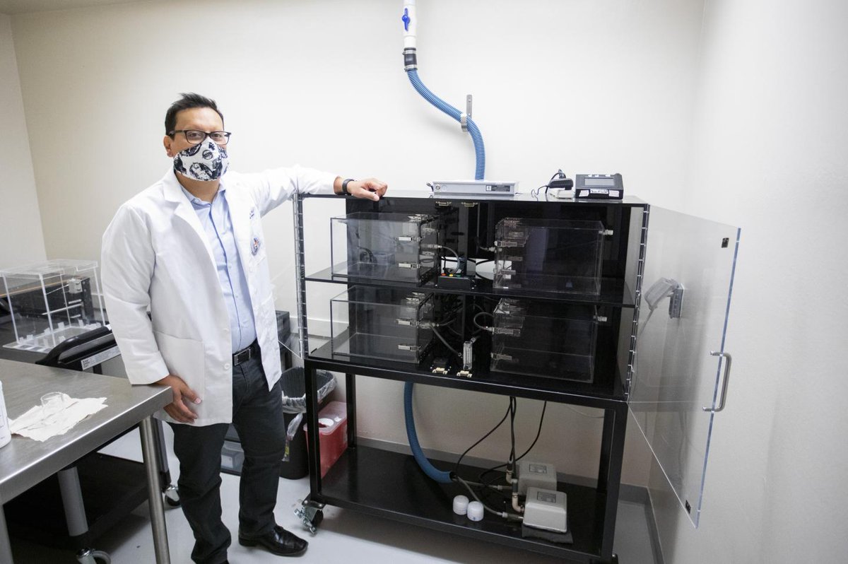 SfNtweets's tweet photo. Learn how Ian Mendez, UTEP assistant professor of pharmacy and #NSPeeps, is developing an animal model that mimics real-life exposure to e-cigarettes in order to investigate the effects of nicotine vapor exposure on adolescent behavior. https://t.co/zrVyL0Ixla
#NSPWeek https://t.co/ODumOEz86M