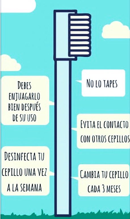 Al cepillarnos los dientes, también debemos cuidar nuestro cepillo de dientes, aquí te dejo 5 tips a seguir.🦷🦷🦷
#cepillodedientes #brushteeth #tips #lavadodedientes