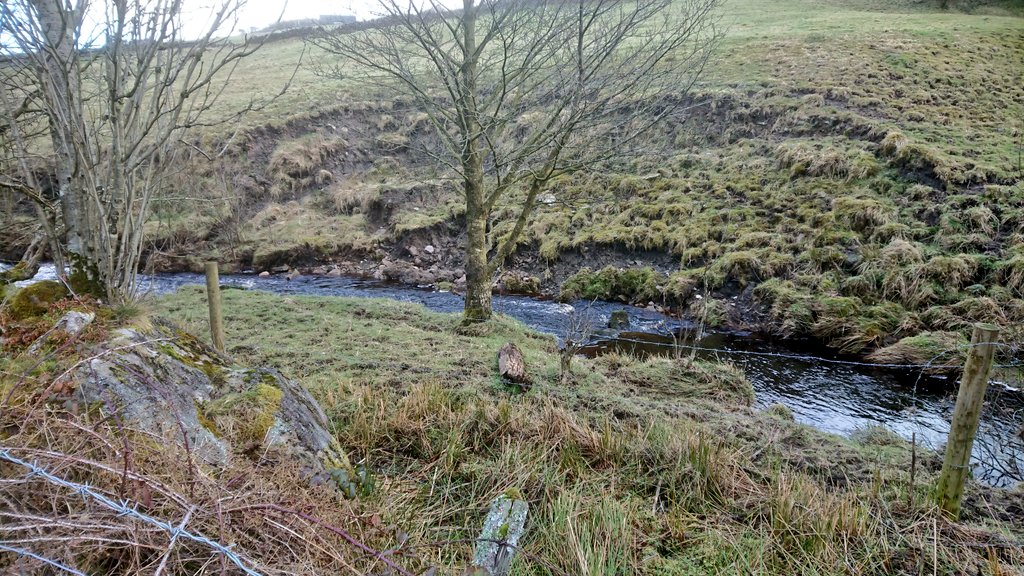 ProfJGrey's tweet photo. Walkover for #UpperAireProject, @WildTroutTrust contribution, on the Summer House Beck arm of Glusburn Beck catchment. Definitely wooldebeest territory with a smattering of #fishpassage issues recorded via @ambertools #barriertracker https://t.co/Jhm2kX3BcH