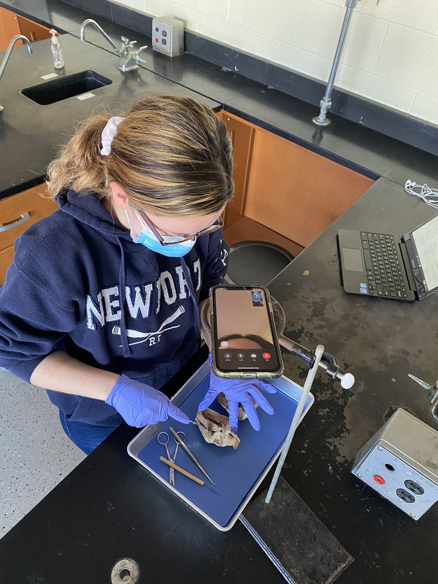 PrincipalCetner's tweet photo. Riley is dissecting a sheep’s heart in @AJaroBHS Anatomy & Physiology, while her lab partner, Kayla, participates virtually (via FaceTime) - Meanwhile, Mrs. J also instructs students at home via @GoogleForEdu #thisishybrid #thisissynchronous #thisishardwork #thisisdedication https://t.co/pv15FddKwq