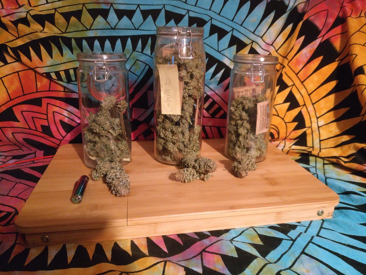 Buenos_Humos's tweet photo. 33,7 gramos #GorillaGlue 23 #ZombieKush 70 #Grapegum, estoy flipando mirar esos tarros hasta arriba 😍😍😍💚 https://t.co/gHDCQNRksB