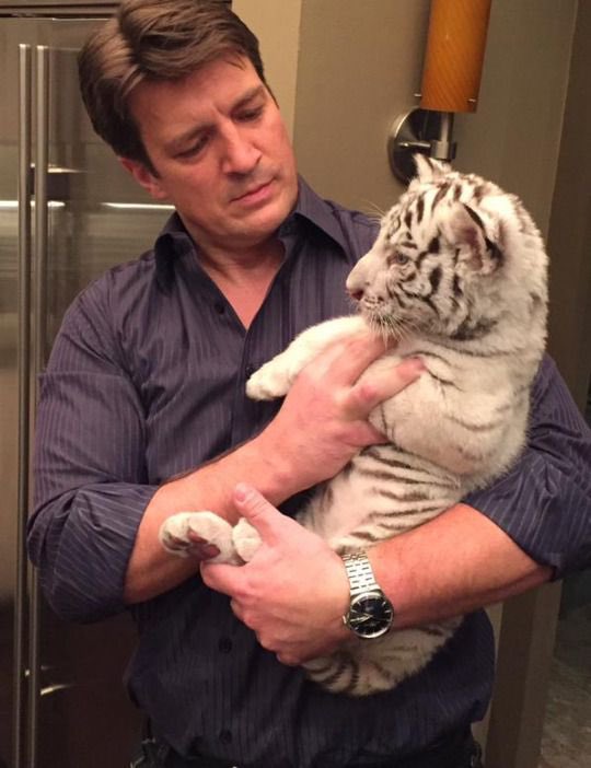 mulderschic's tweet photo. 🐯🎬 #MakCastle #NathanFillion #StanaKatic #Castle #rewatch #castleabc @Castle_ABC https://t.co/INKJGsWRcL