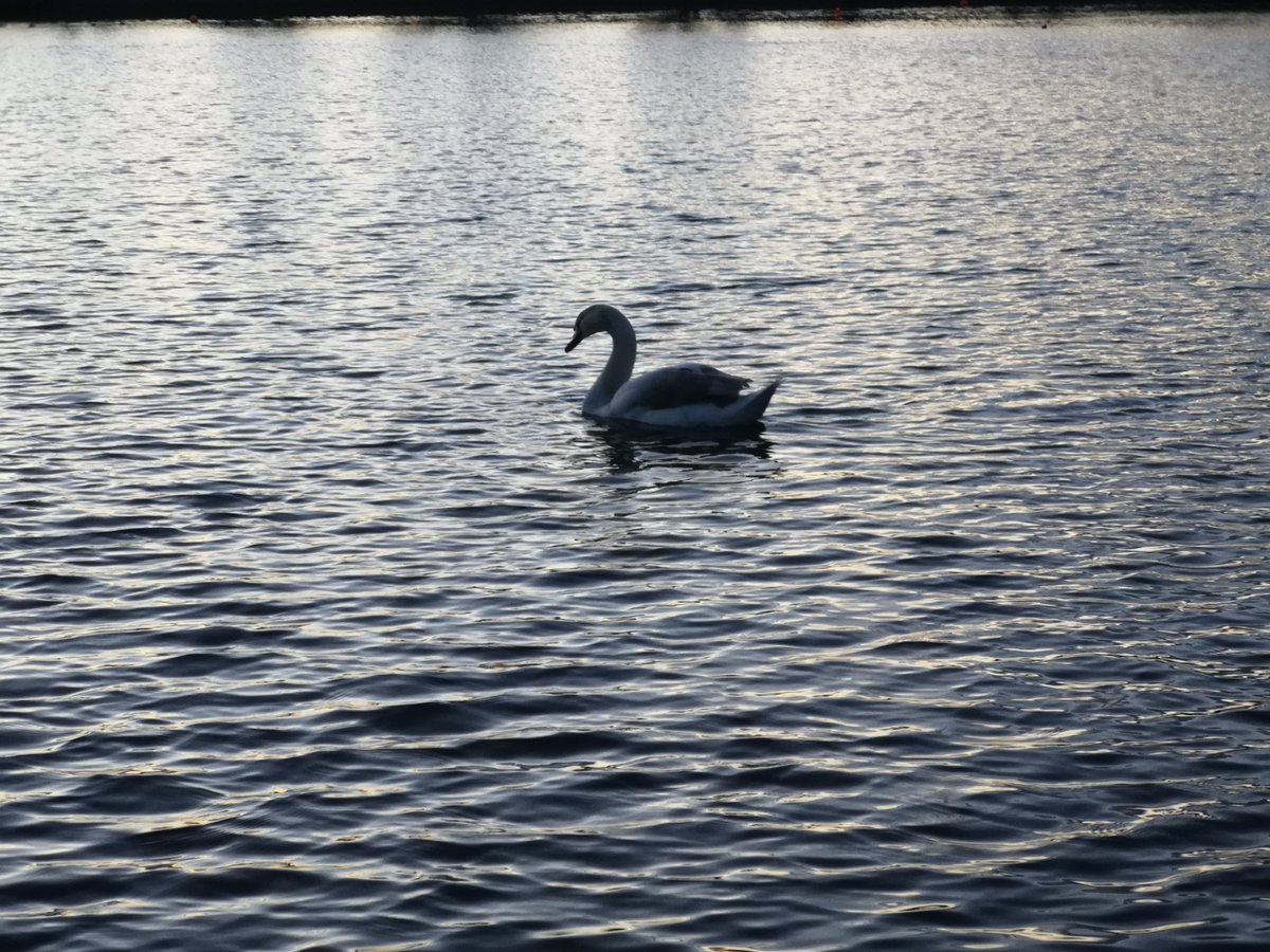 thelovelymaeve's tweet image. Pure Cork evening 🌃 #LockdownIreland