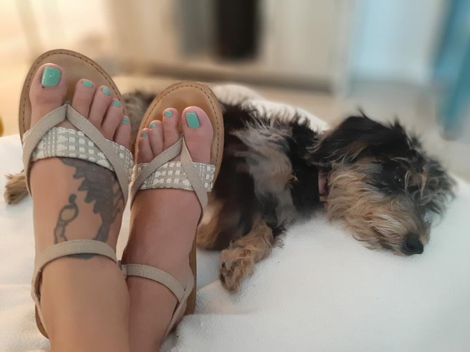 Fresh pedi n tired puppy https://t.co/2LY6FXJOz7<a href="/tag/momcomesfirst"class="tags"><span>#momcomesfirst</span></a><a href="/tag/mommydommy"class="tags"><span>#mommydommy</span></a>