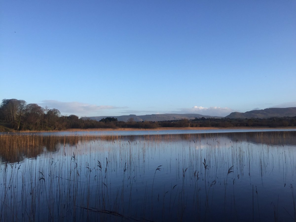 jackiemcguin's tweet photo. Day 56/ 787 of #100daysofwalking #800daysofwalking Out early this morning but #remoteteaching has been so busy today. #CPD now. #GetMercyMoving only 3 days left, my feet will be happy ๐ when itโs over! https://t.co/LaJF7chVWw