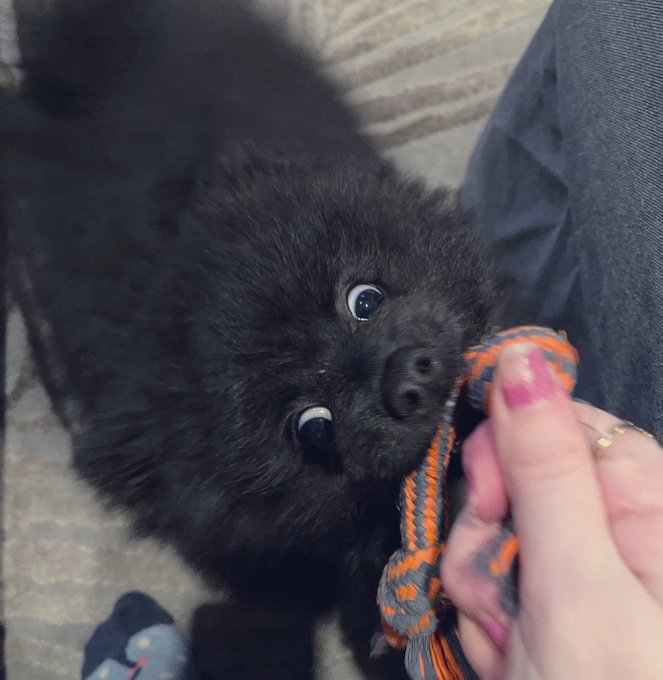 Cute vs crazy 😂 3 segundos de diferencia https://t.co/XPACiY5BTR