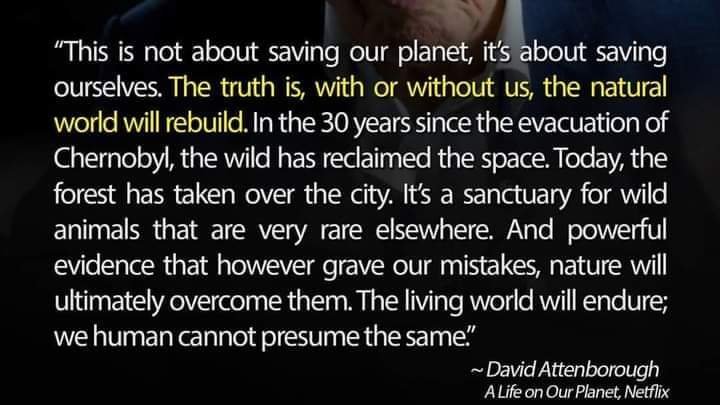 Bill Graham (@ballenamar) on Twitter photo 