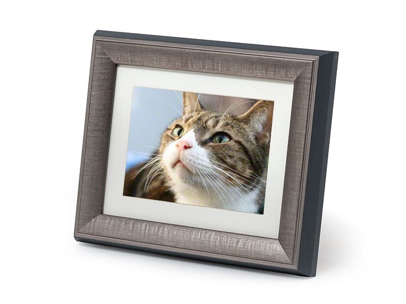 cpccares's tweet photo. Am I crazy for mourning a cat?

https://t.co/CeTj3eBlfV https://t.co/9z0ffeC21M