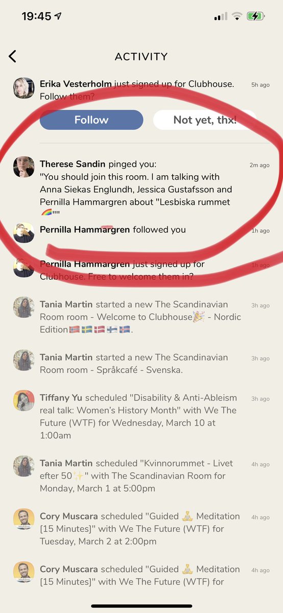 Adam Potrykus (Stoffski) tweet media