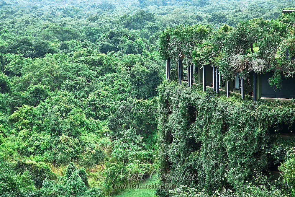 Esta propuesta turística se camufla en un excelente paisaje así bit.ly/3dQyYsr🙂🙂 ♥  #turismosustentable