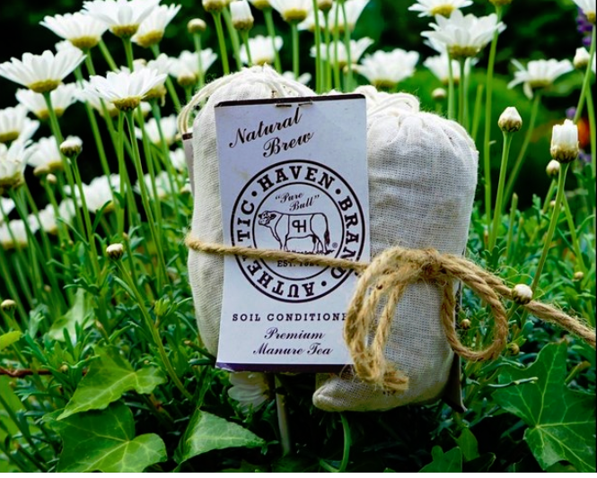 GreenSoil's tweet photo. #HavenBrand start your #garden off right, feed your #soil our premium soil conditioner tea. Free S/H at https://t.co/aBrJV27T5E
#seeds #bulbs #succulents #cactus #roses #familyowned #orchids #iris #moopootea #indoorplants https://t.co/AvkEKvWNGO