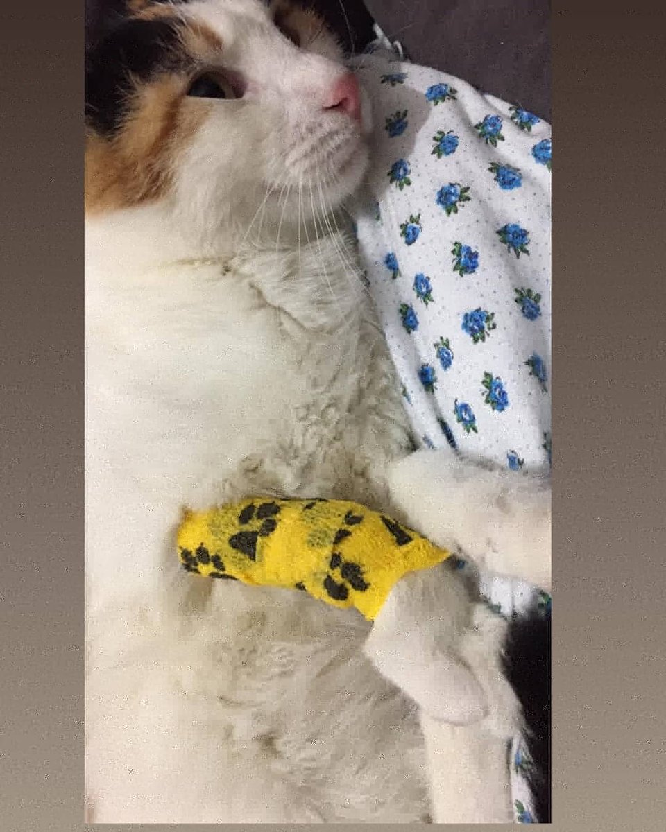 20 KİŞİNİN 23 TL sine İhtiyacımız var..🙏
Lütfen bize yardım edebileceğini düşündüğünüz arkadaşlarınız varsa..
Bizi yalnız bırakmayın lütfenn😖