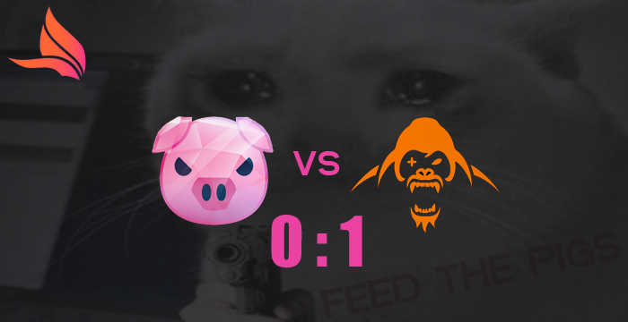 PIGSPORTS tweet media