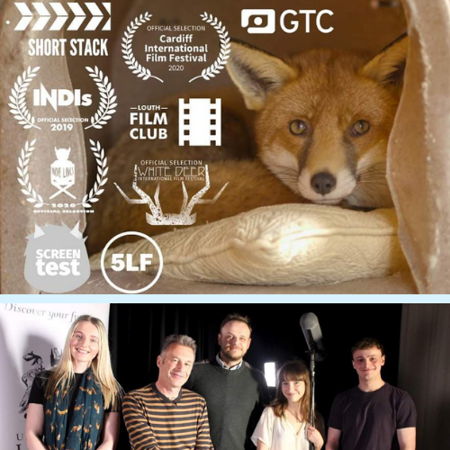 BlackFoxesUK's tweet photo. Would You Like to See a #FoxDoc 2? 🤩🦊
My Pet Fox: A Short Documentary is seeking participants for research into the possibility of a follow on from their hugely successful fox documentary, released in 2019... https://t.co/ICGlPXA31B https://t.co/WF5TR9vNHz
