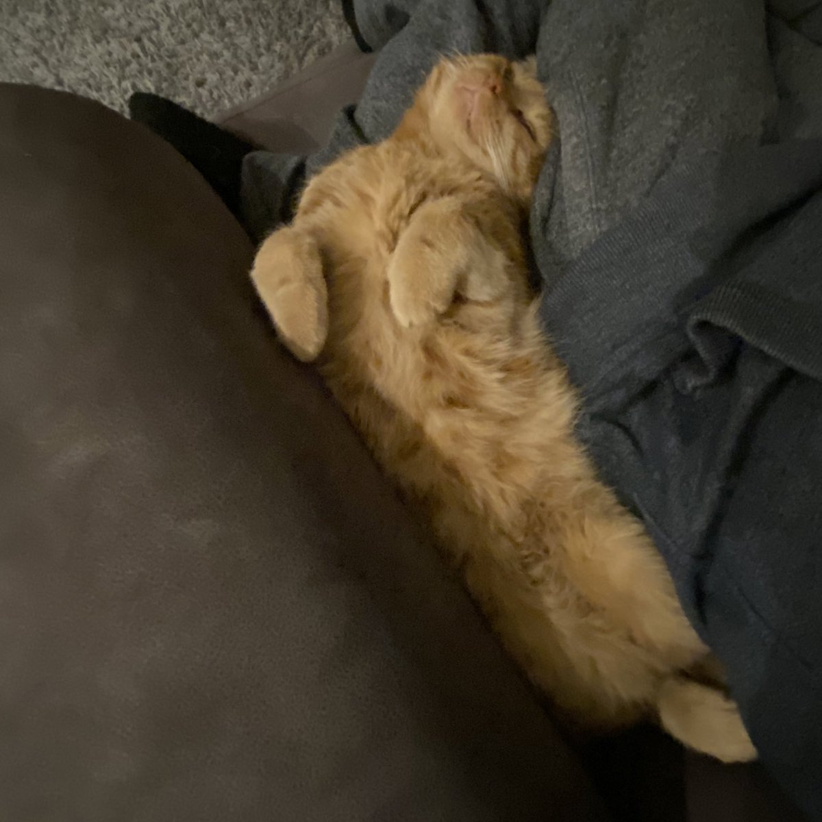 Dreaming of Friday 💤