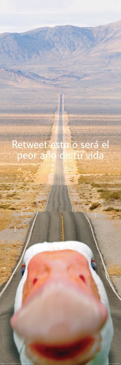 rubnnz's tweet photo. @IbaiLlanos mirad https://t.co/Dhg7a5BQAC