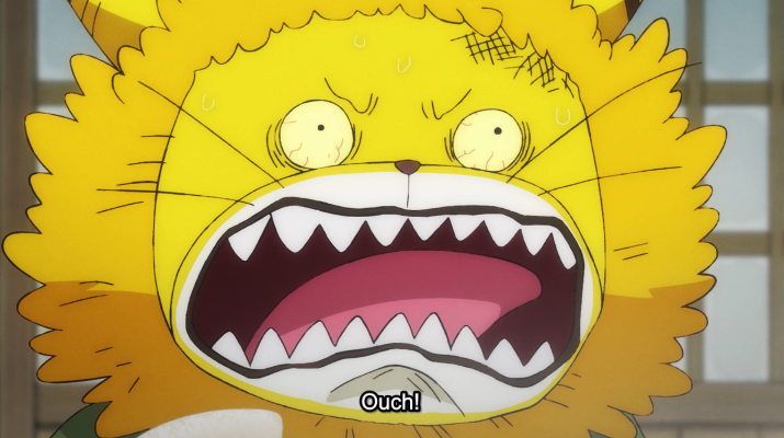 ToeiAnimation's tweet photo. Cat Viper can't take it anymore! 🙀😡🔥 #OnePiece962 https://t.co/OAPAE5OyVe