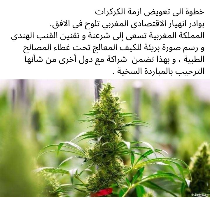 Cheiba8's tweet photo. البوليساريو تنتصر https://t.co/jpgjIwFLb0