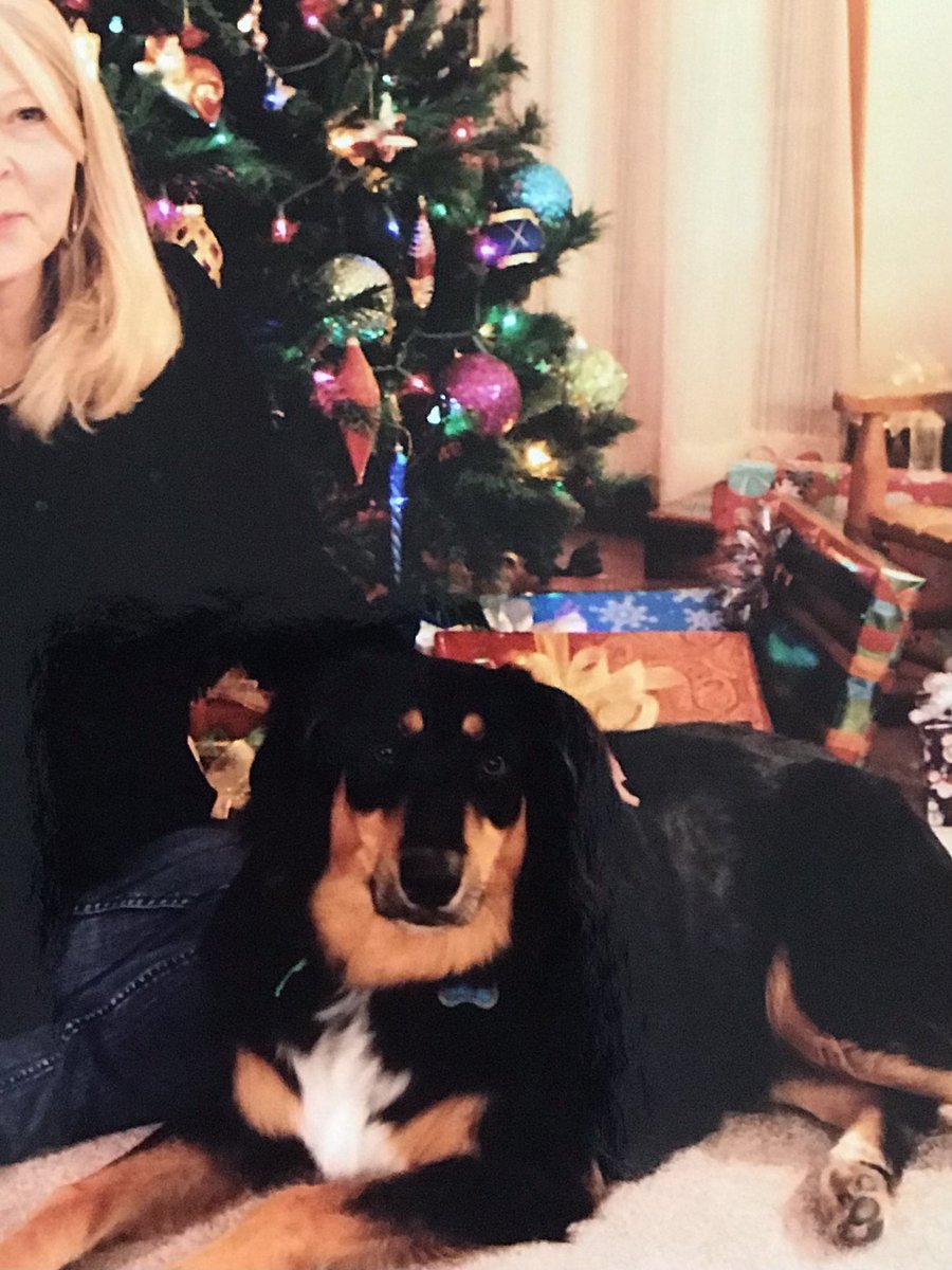 Tennesseeforme's tweet photo. Yesterday, I had to say goodbye to my best friend, Rowdy.  He chased squirrels, but never caught one, loved playing in the river and giving you his special “hug.”  He has been my world for 10 yrs.  I’m heartbroken. #CancerSucks #AdoptDontShop https://t.co/EJwmCgjzGO